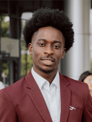 UI UX Web Designer Team Member